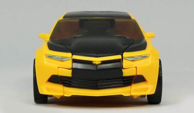 TLK01_BUMBLEBEE_04.jpg
